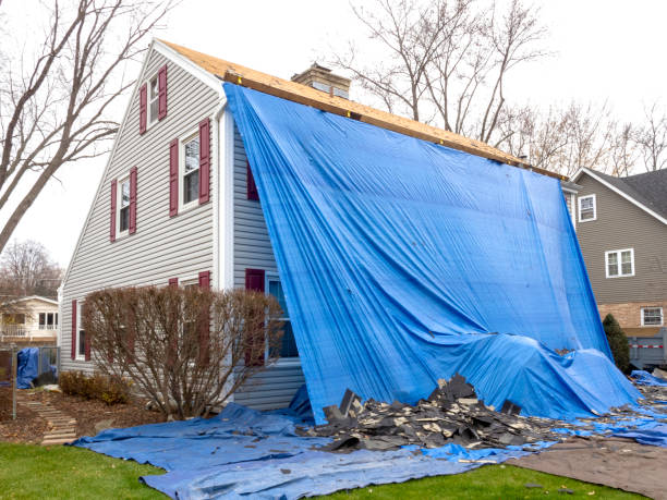 Best Brick Veneer Siding  in Waunakee, WI