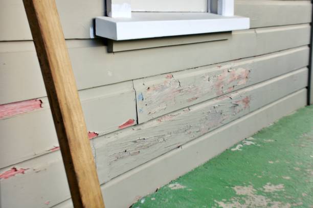 Affordable siding repair and maintenance services in Waunakee, WI